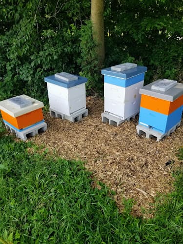 Hidden Spring Apiaries Logo
