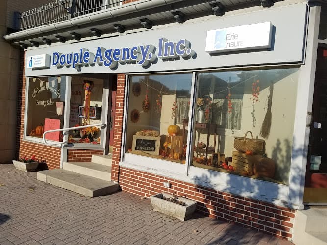 Douple Agency, Inc. logo