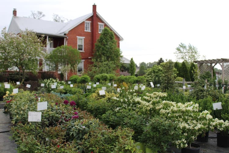 Country Meadows Nursery logo