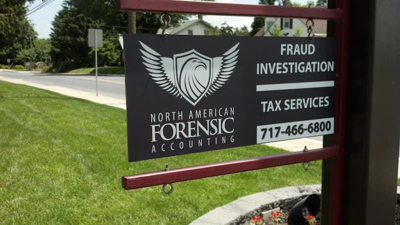 North American Forensic Accounting logo