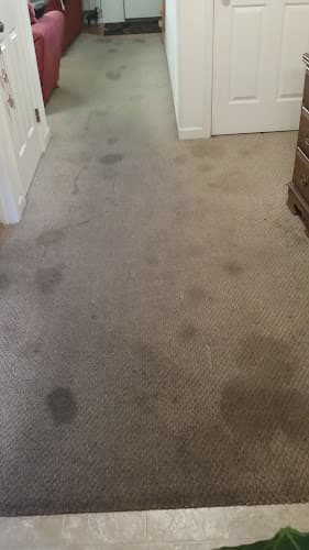 All In One Cleaning Service.LLC logo