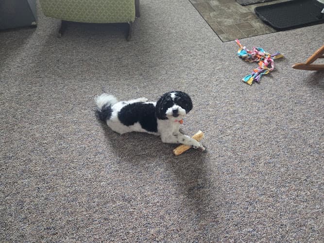 Rover Makeovers logo