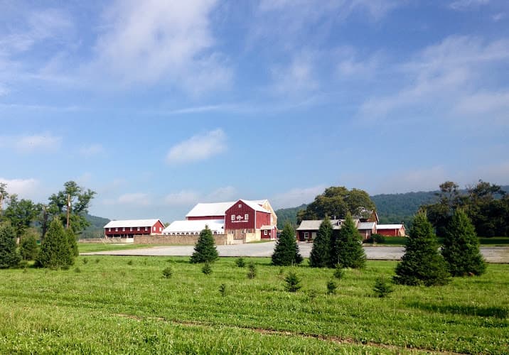 Elizabeth Farms logo