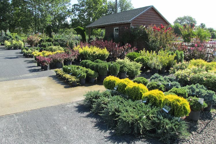 Nolt's Garden Center logo