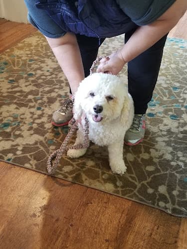 Stone Mill Grooming logo