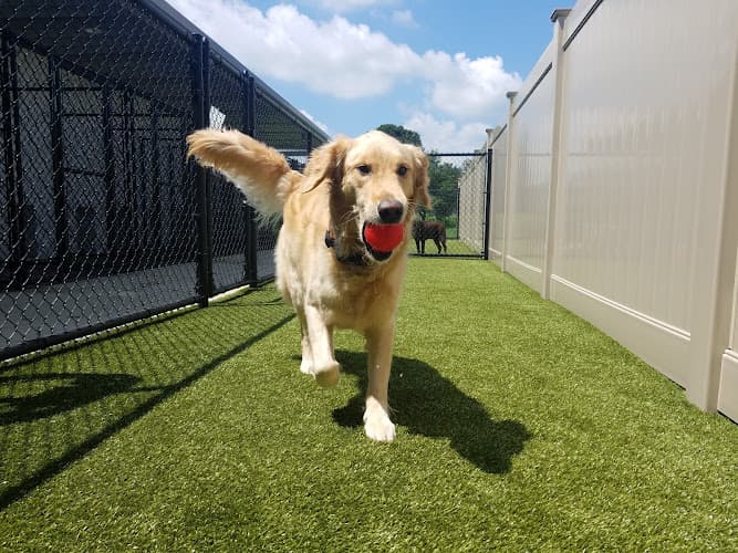 The Windsor, by Canine Country Club logo