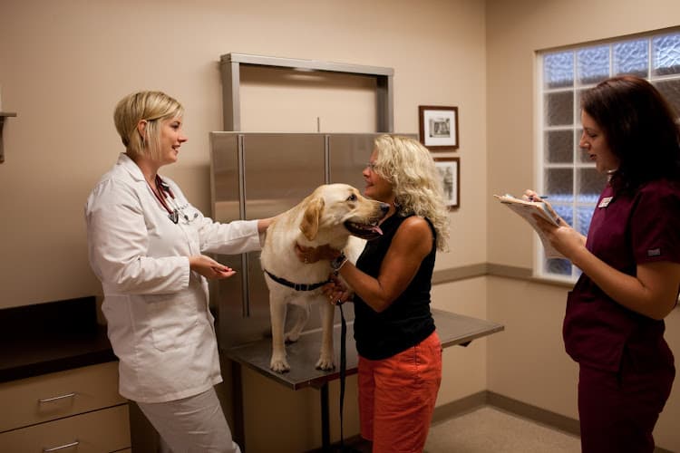 Neffsville Veterinary Clinic logo