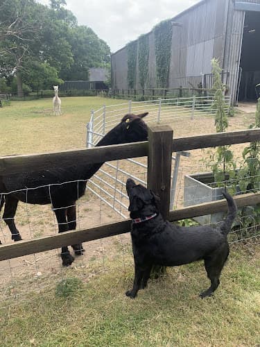 Moritzen Family Pet Sitting logo