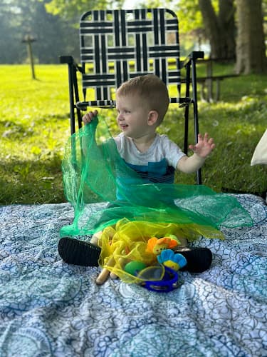 Dancing Bears Music logo