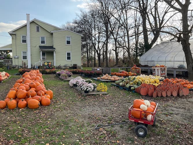 Lapp's Farm Market logo