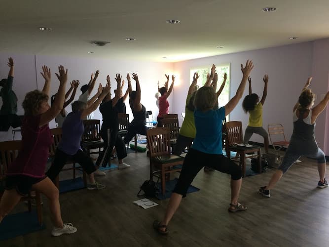 Willow Yoga Studio logo