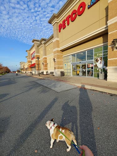 Petco logo