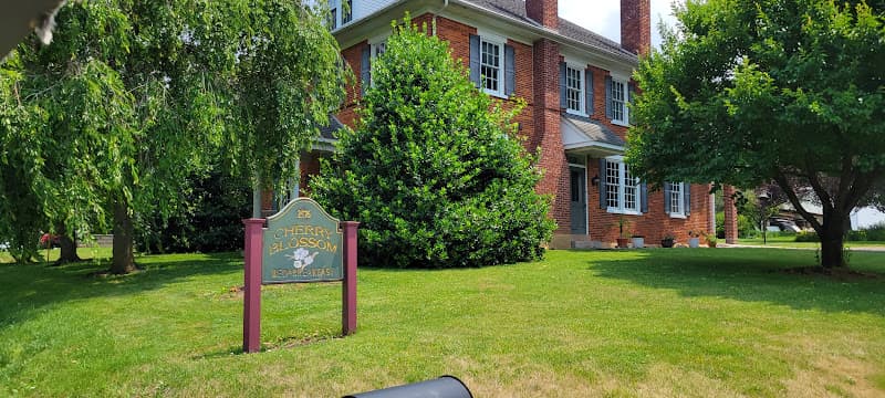 Cherry Blossom Bed & Breakfast Logo