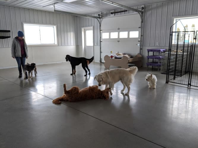 Oscar's Pet Resort of Greenfield, Inc. logo