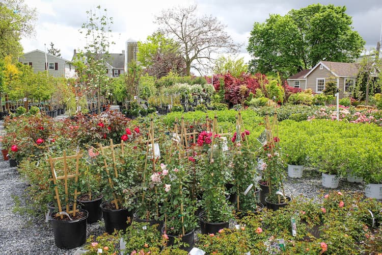 Town's Edge Garden Center logo