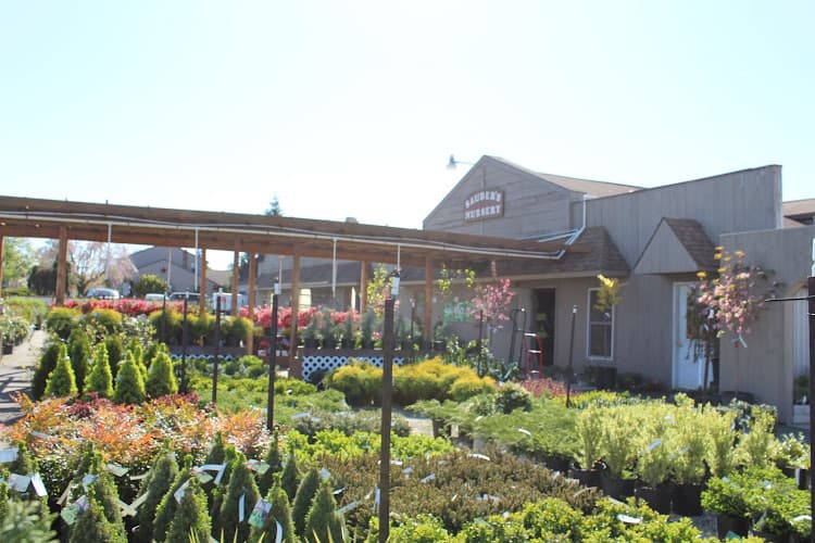 Sauder's Nursery logo