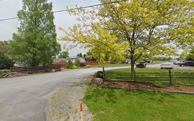 Lone Pine Nursery logo