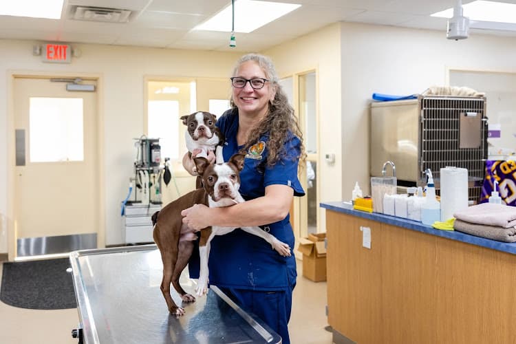 Honey Brook Animal Hospital logo