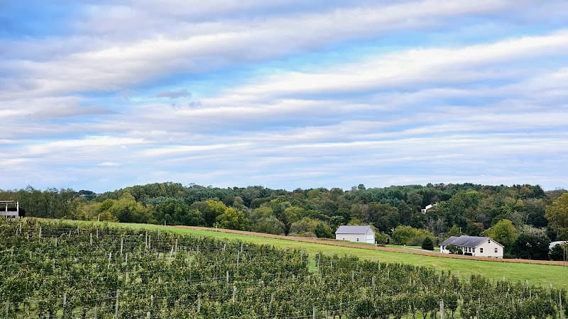 The Acadian Wine Company Logo