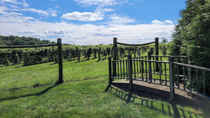 Va La Vineyards logo