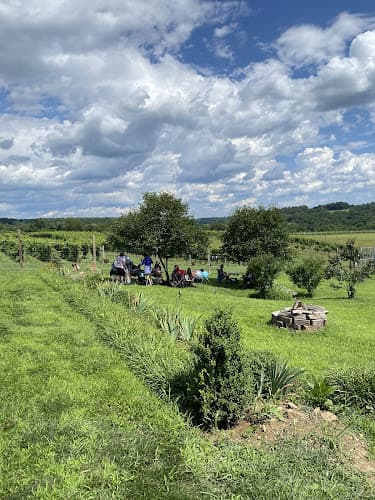 Stargazers Vineyard logo