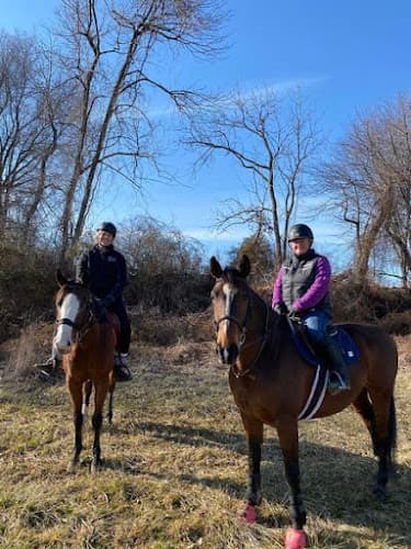 Stillmeadow Equine Veterinary Service LLC logo