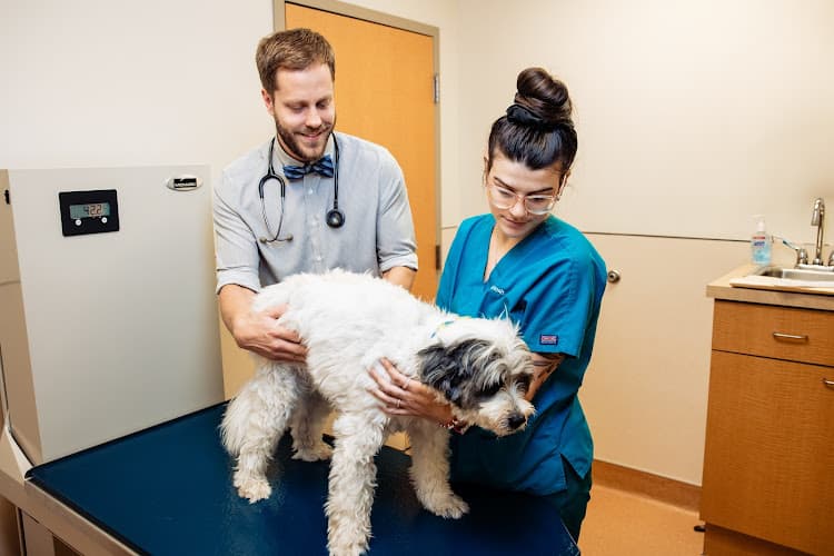 Glenmoore Veterinary Hospital logo
