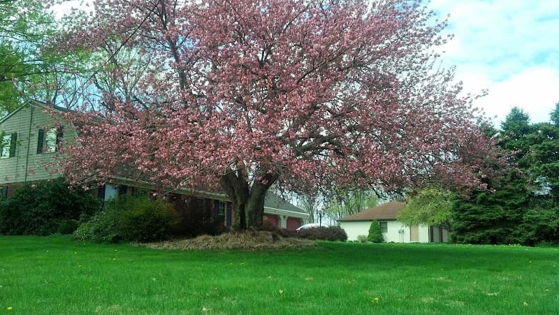 The Reverse Mortgage Team - Powered by WSFS Mortgage - FHA HECMs (Reverse Mortgages) in 50 states logo