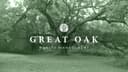 Great Oak Wealth Management logo