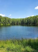 Birdsboro Preserve logo