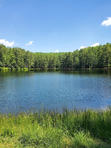 Birdsboro Preserve logo