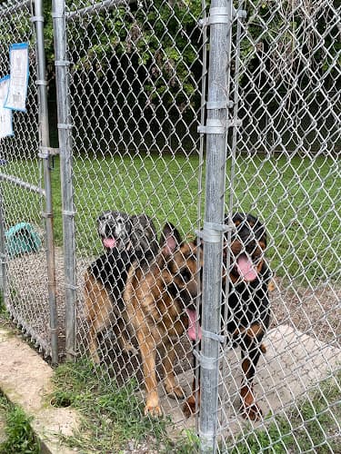 Buddy's Pet Resort at Birdsboro Logo