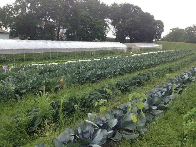 B & H Organic Produce