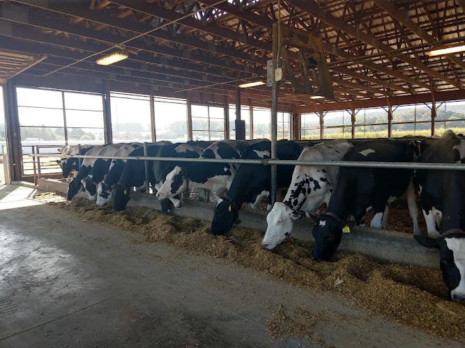 Kurtland Farms
