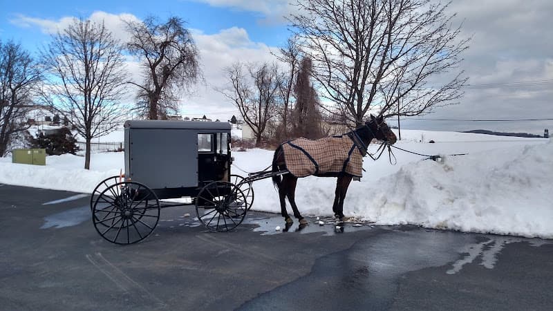Twin Valley Upper Cervical Chiropractic logo