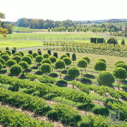 William F Hammell Nurseries logo