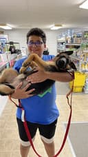 The Pet & Equine Shop logo