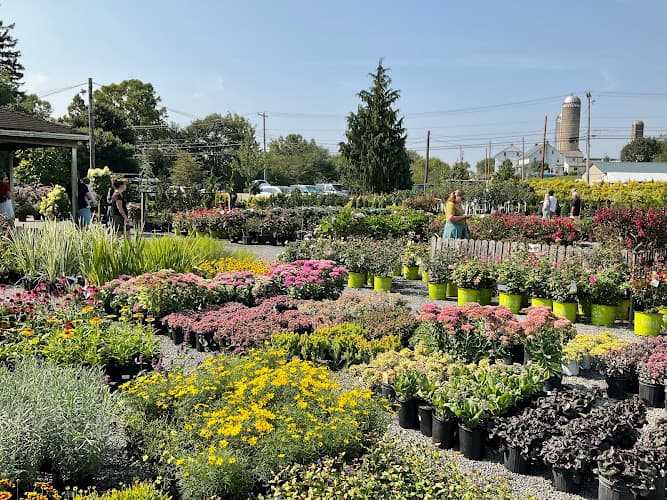 Conestoga Nursery logo