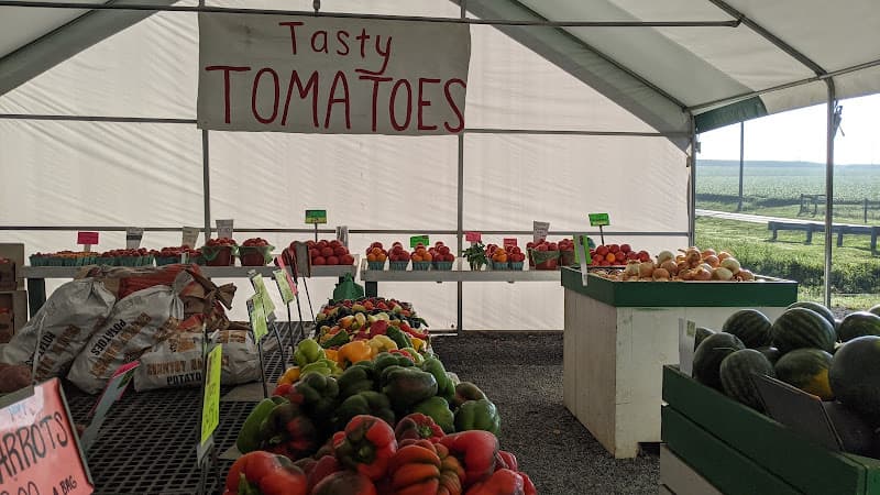 Farm Wagon Produce Market (PYO Strawberries, CYO Flowers) logo