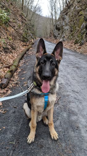 The Grooming Shop logo