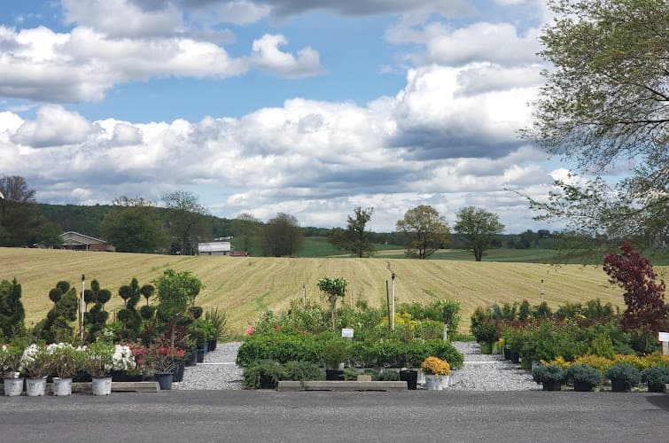 Spring Grove Nursery logo