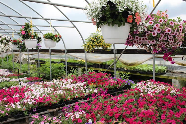 Martin’s Greenhouse on Orchard Road logo