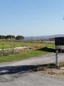 Stauffer's Fruit Farm & Market logo