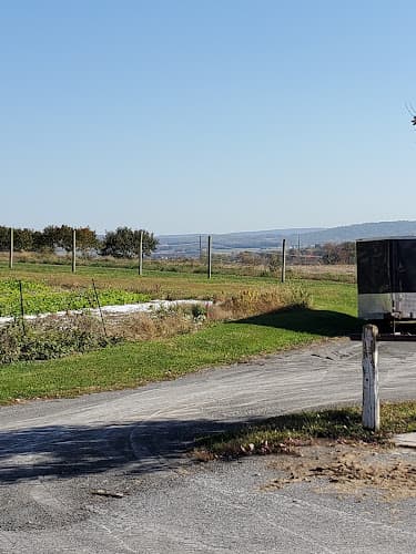 Stauffer's Fruit Farm & Market logo
