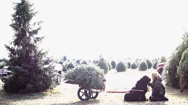 Plow Farms