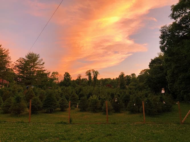 Sigfried Home Farm