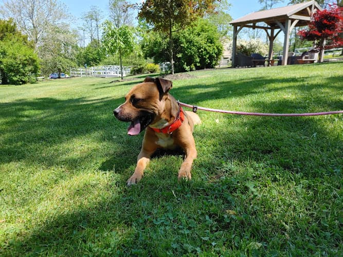 Animal Rescue League of Berks County Logo