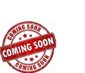 Professional Independent Consultant logo