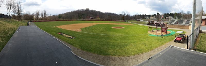 Alvernia Baseball Field logo