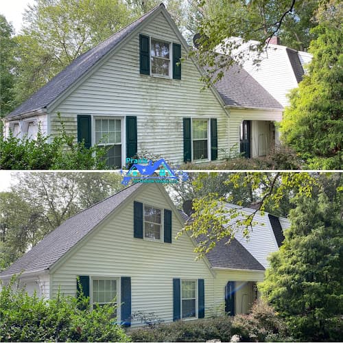 Praxis Roofing